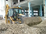 cat428